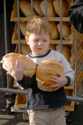 haring en wittebrood klik klik