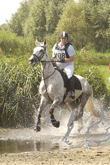 7719 hippische wedstrijden